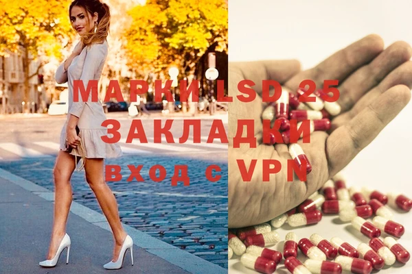 твердый Ладушкин