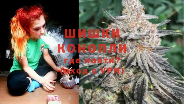 прущие крисы Алзамай