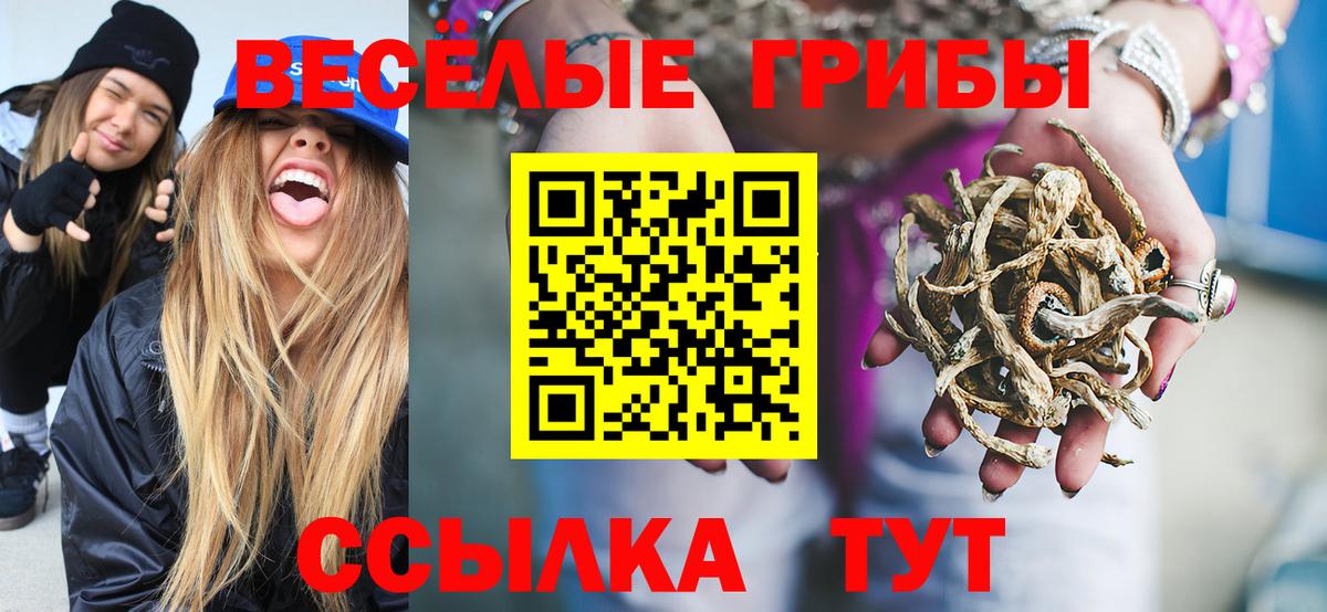 Галлюциногенные грибы мухоморы Салават